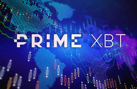 Exploring the World of PrimeXBT Bonuses