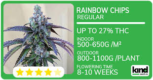 Hemp Plants for Sale - The Ultimate Guide to Purchasing Quality Hemp Plants Hemp Plants for Sale - The Ultimate Guide to Purchasing Quality Hemp Plants